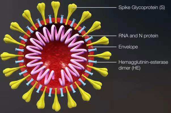 sample preservation solution lysed protein but retained nucleic acid