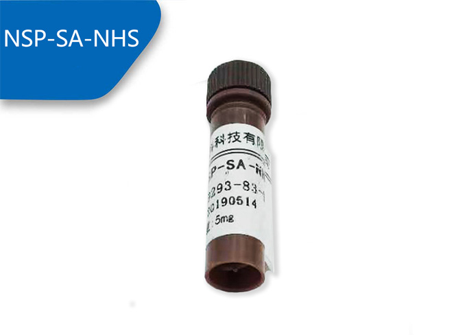 NSP-SA-NHS