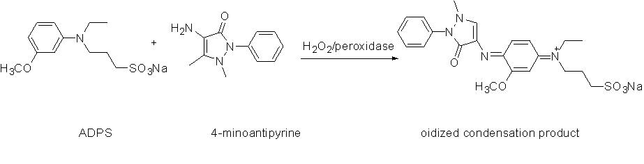 The Color Development Principle of the New Trinder's Reagent ADPS