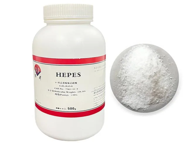 hepes04