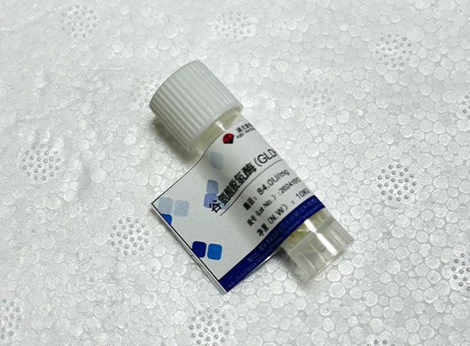 glutamate dehydrogenase gldh product information 01